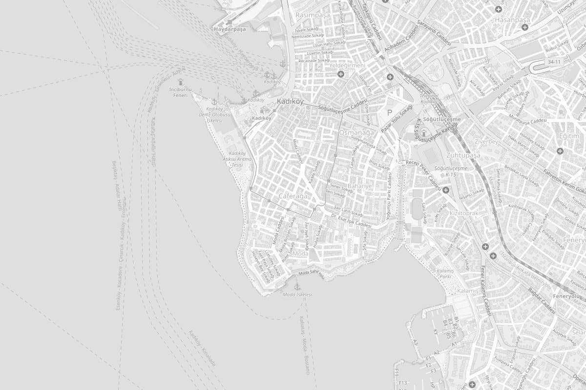 Black-and-white map of Kadıköy, the Istanbul district where Userex is based