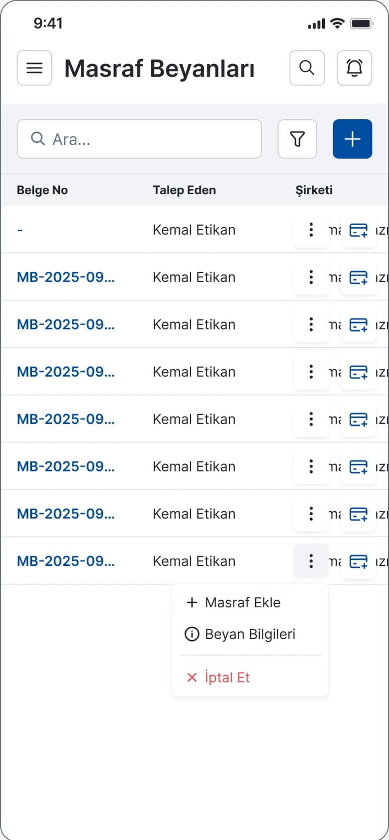 Masraf beyanları